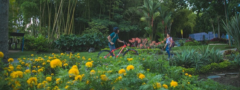 El campus de Unibagué es naturaleza que inspira