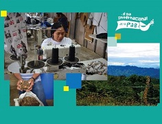 Conmemorar el Día Internacional de la Paz, con la reflexión sobre el futuro de la reintegración de los excombatientes y del desarrollo rural en las zonas de reconstrucción social en el Tolima.